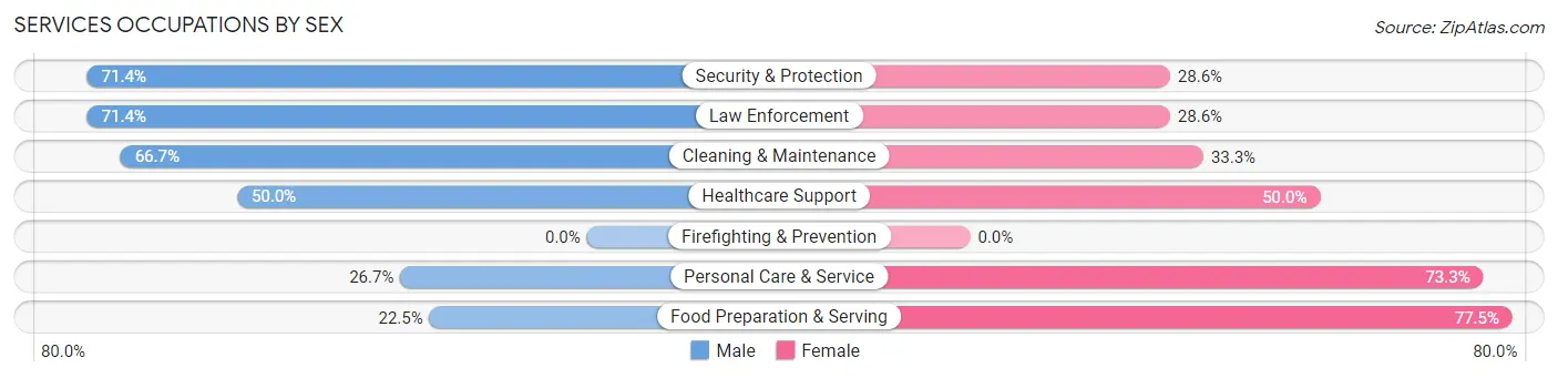 Services Occupations by Sex in Zip Code 17876