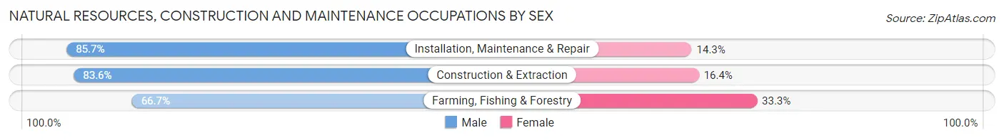 Natural Resources, Construction and Maintenance Occupations by Sex in Zip Code 17878