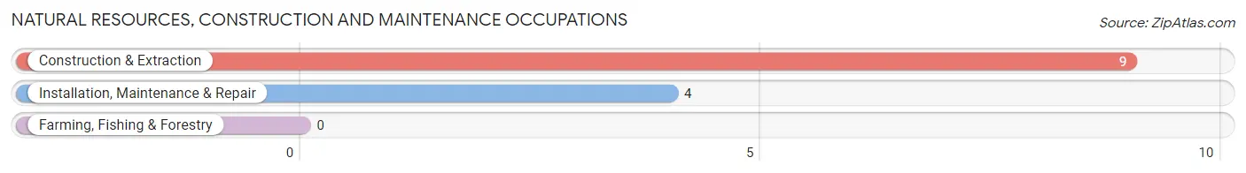 Natural Resources, Construction and Maintenance Occupations in Zip Code 17884