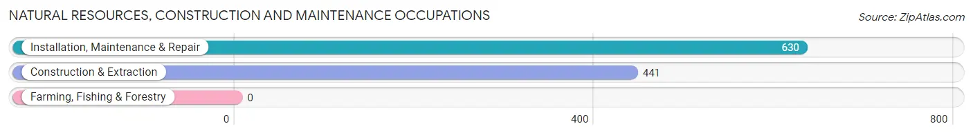 Natural Resources, Construction and Maintenance Occupations in Zip Code 17901