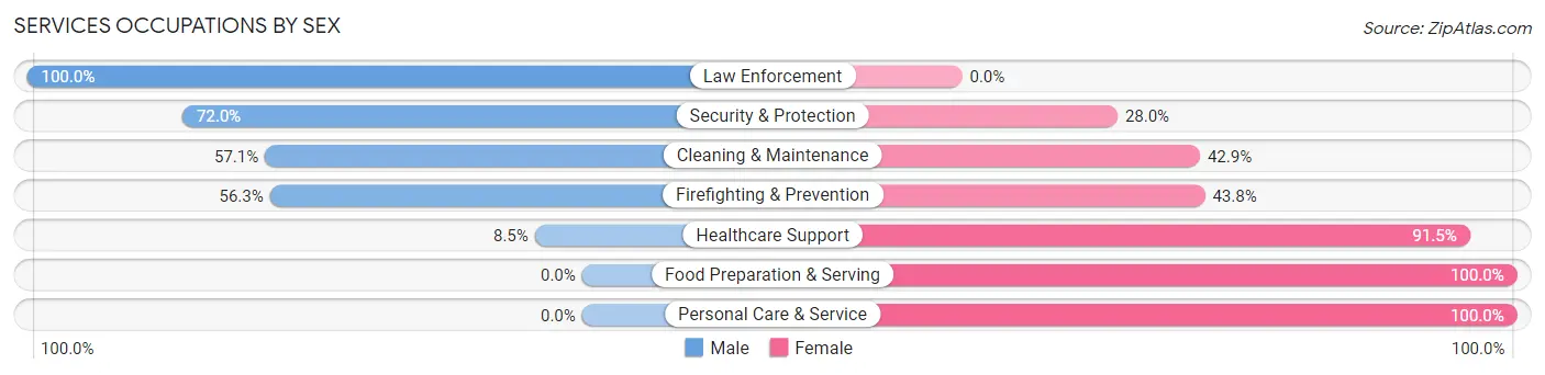 Services Occupations by Sex in Zip Code 17929