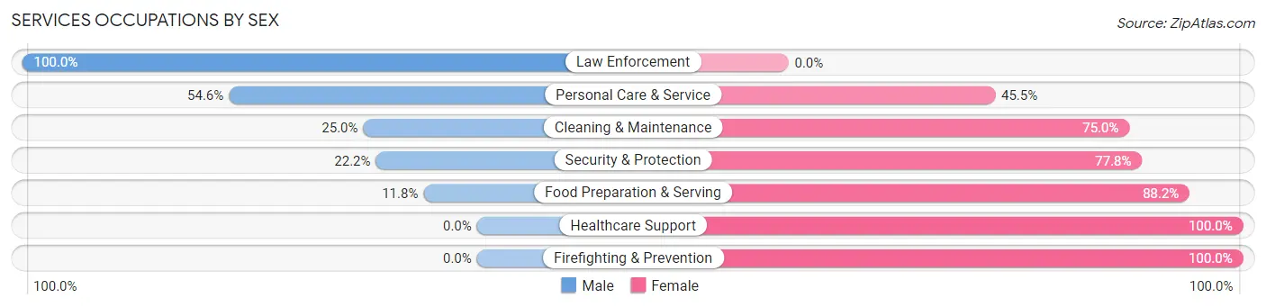 Services Occupations by Sex in Zip Code 17935