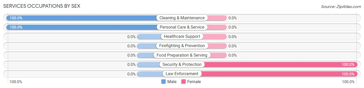 Services Occupations by Sex in Zip Code 17936