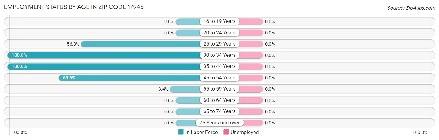 Employment Status by Age in Zip Code 17945