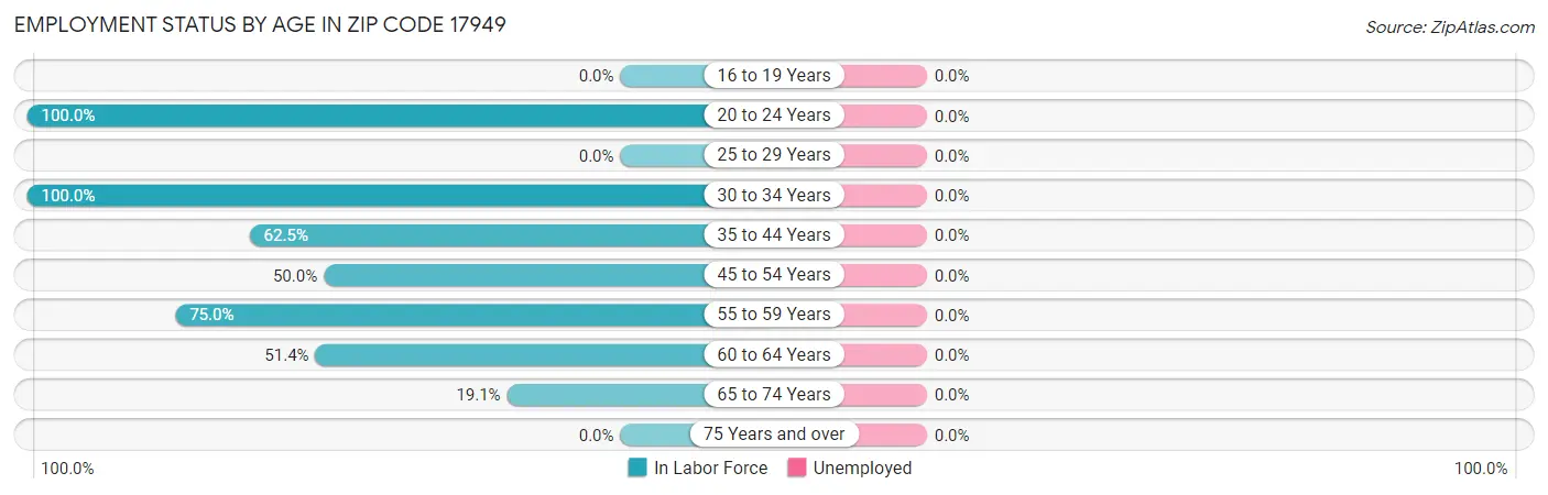 Employment Status by Age in Zip Code 17949