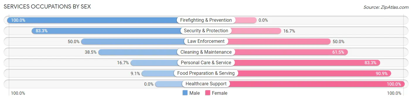 Services Occupations by Sex in Zip Code 17959