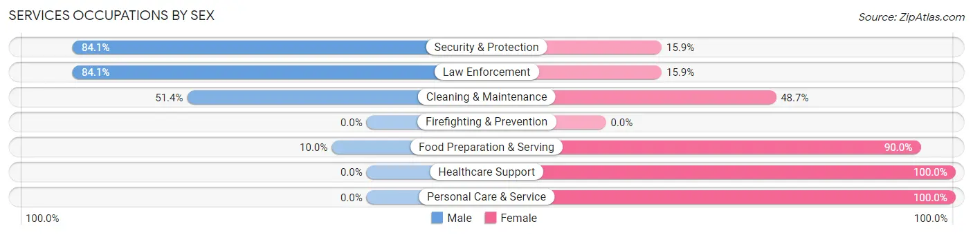 Services Occupations by Sex in Zip Code 17976