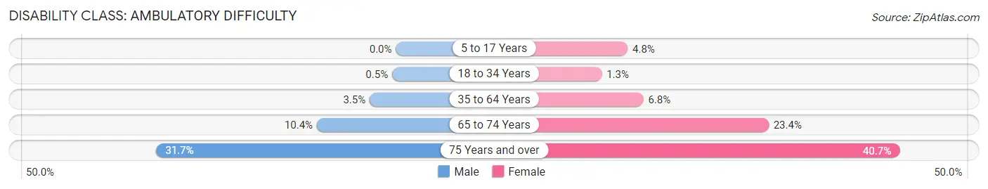 Disability in Zip Code 17980: <span>Ambulatory Difficulty</span>