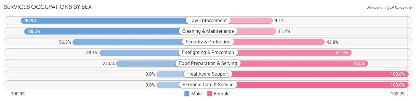 Services Occupations by Sex in Zip Code 17980