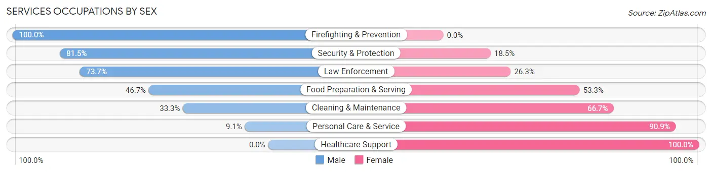 Services Occupations by Sex in Zip Code 17985