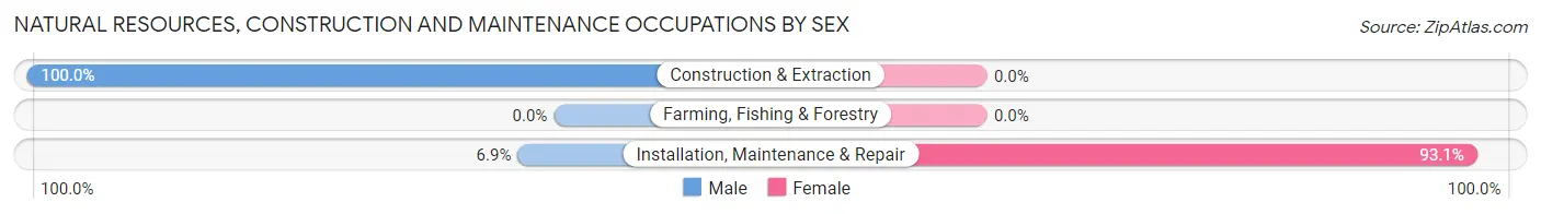 Natural Resources, Construction and Maintenance Occupations by Sex in Zip Code 18031