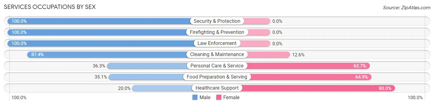 Services Occupations by Sex in Zip Code 18036