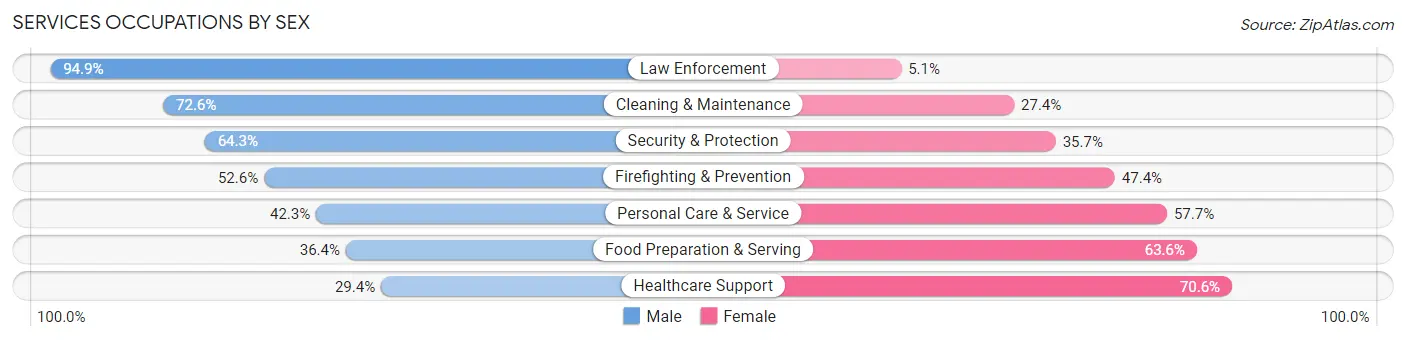 Services Occupations by Sex in Zip Code 18104
