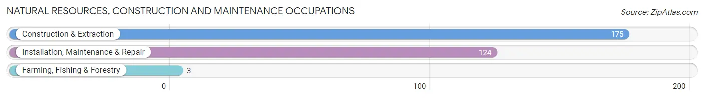 Natural Resources, Construction and Maintenance Occupations in Zip Code 18109