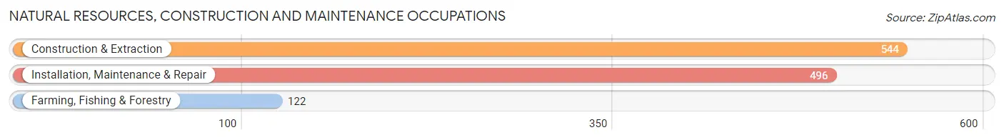 Natural Resources, Construction and Maintenance Occupations in Zip Code 18201