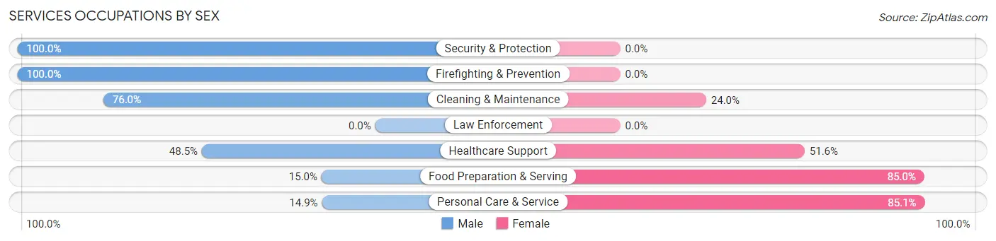 Services Occupations by Sex in Zip Code 18210