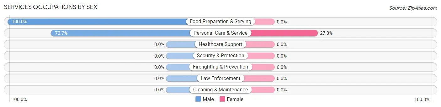 Services Occupations by Sex in Zip Code 18211