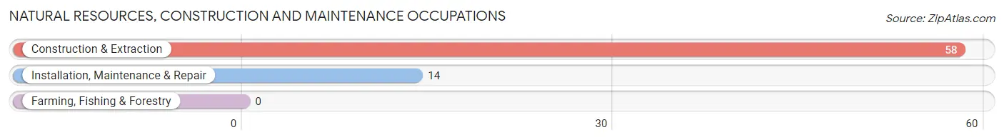 Natural Resources, Construction and Maintenance Occupations in Zip Code 18216