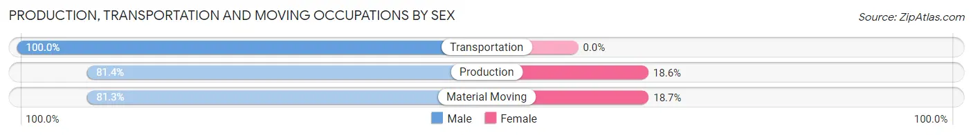 Production, Transportation and Moving Occupations by Sex in Zip Code 18219