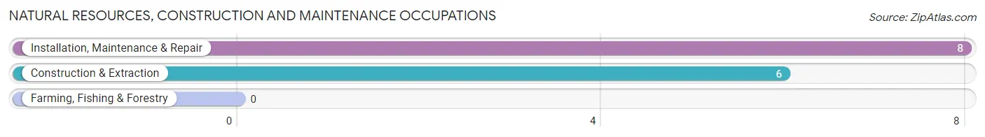 Natural Resources, Construction and Maintenance Occupations in Zip Code 18220