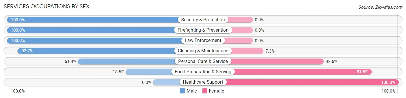 Services Occupations by Sex in Zip Code 18222