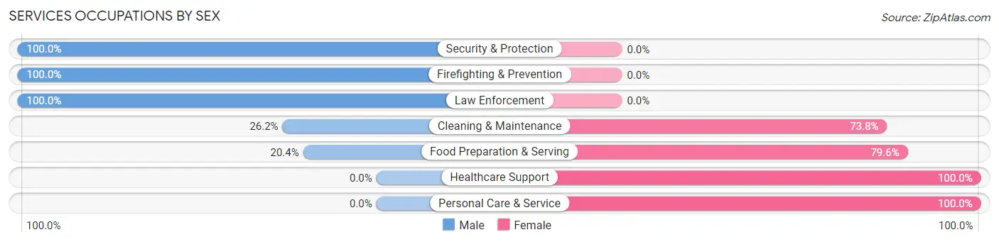 Services Occupations by Sex in Zip Code 18224