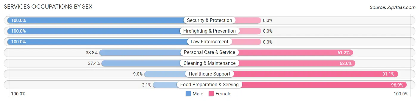 Services Occupations by Sex in Zip Code 18229