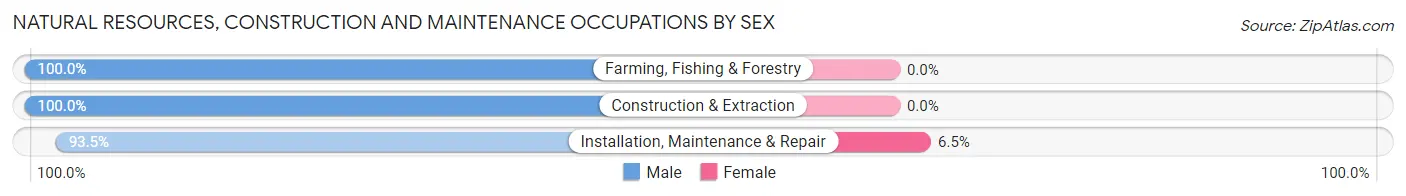 Natural Resources, Construction and Maintenance Occupations by Sex in Zip Code 18232