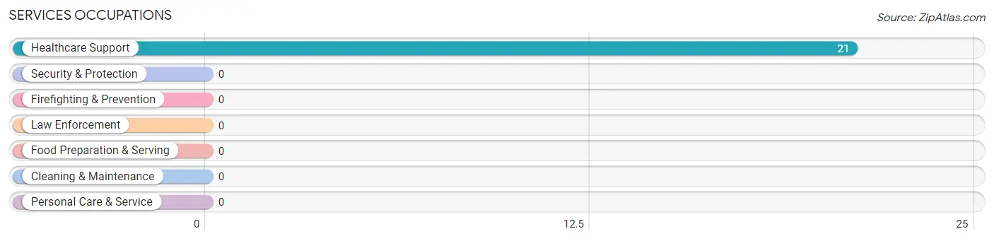 Services Occupations in Zip Code 18242