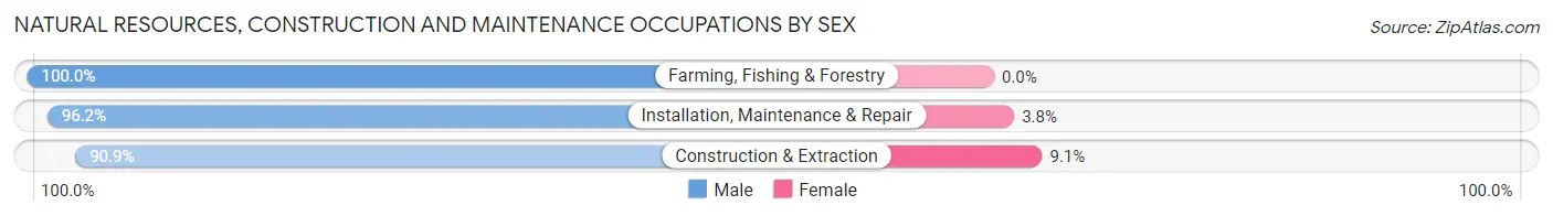 Natural Resources, Construction and Maintenance Occupations by Sex in Zip Code 18249
