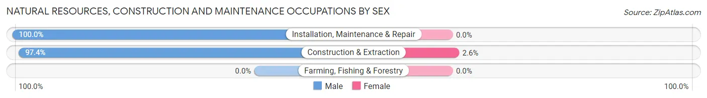 Natural Resources, Construction and Maintenance Occupations by Sex in Zip Code 18301