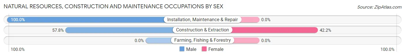 Natural Resources, Construction and Maintenance Occupations by Sex in Zip Code 18321