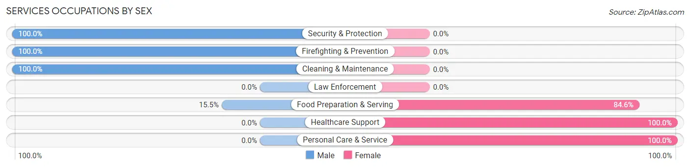 Services Occupations by Sex in Zip Code 18322