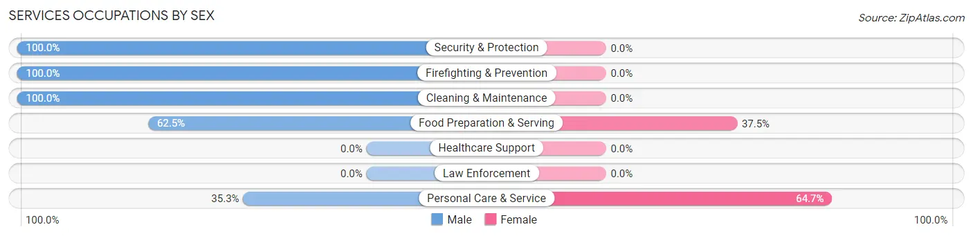 Services Occupations by Sex in Zip Code 18327
