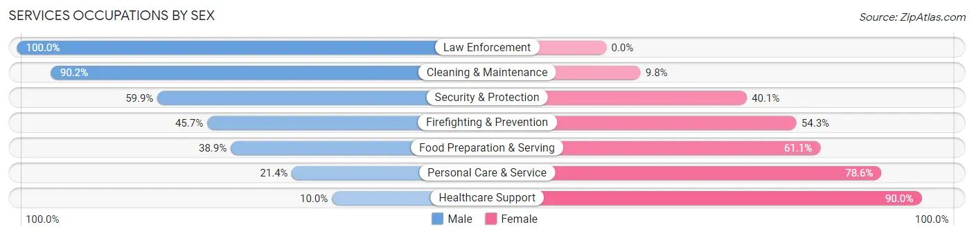 Services Occupations by Sex in Zip Code 18328