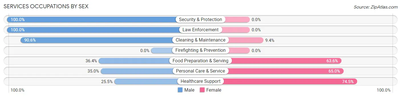 Services Occupations by Sex in Zip Code 18337