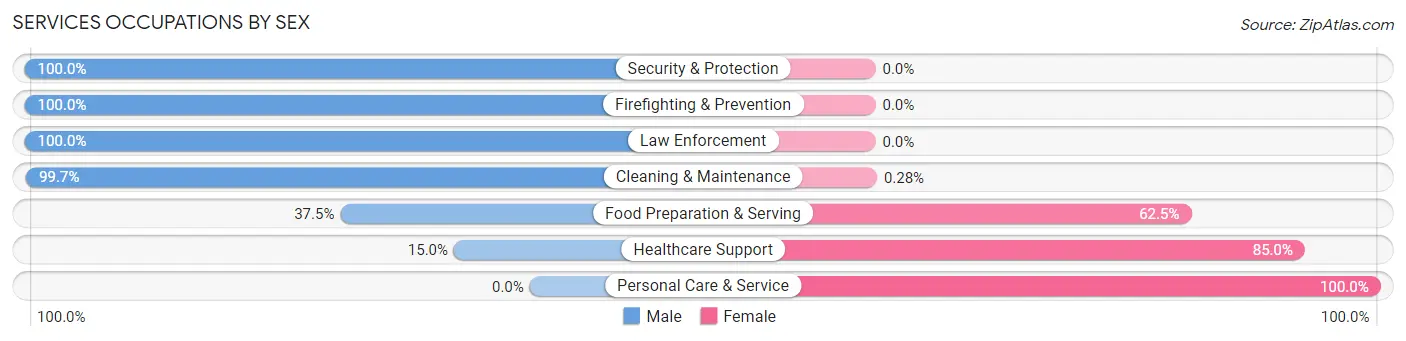 Services Occupations by Sex in Zip Code 18353