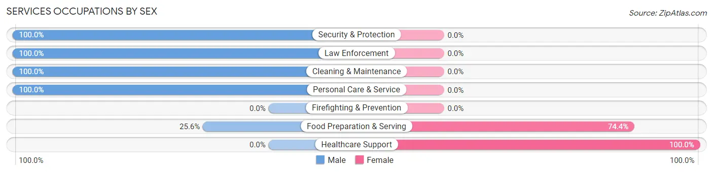 Services Occupations by Sex in Zip Code 18355
