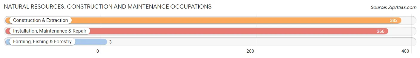 Natural Resources, Construction and Maintenance Occupations in Zip Code 18407