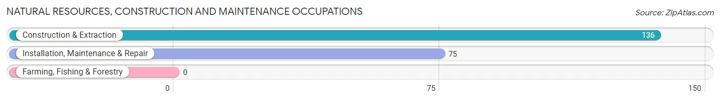 Natural Resources, Construction and Maintenance Occupations in Zip Code 18421