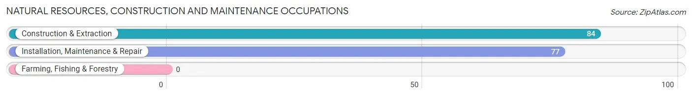 Natural Resources, Construction and Maintenance Occupations in Zip Code 18426