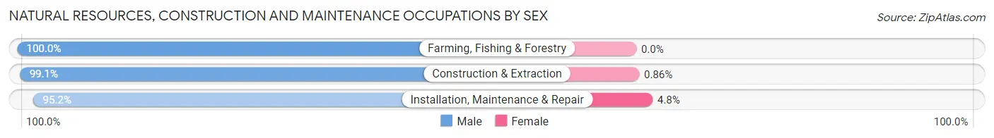 Natural Resources, Construction and Maintenance Occupations by Sex in Zip Code 18428