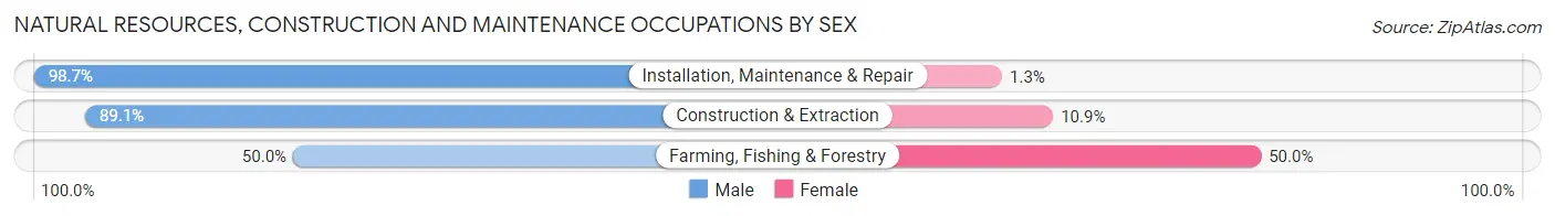 Natural Resources, Construction and Maintenance Occupations by Sex in Zip Code 18431