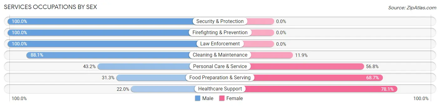 Services Occupations by Sex in Zip Code 18433