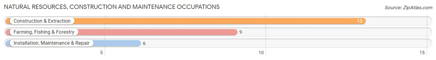 Natural Resources, Construction and Maintenance Occupations in Zip Code 18439