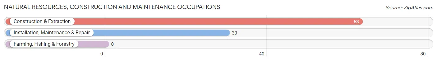 Natural Resources, Construction and Maintenance Occupations in Zip Code 18452