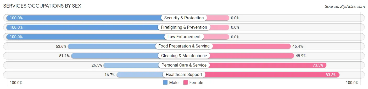 Services Occupations by Sex in Zip Code 18458