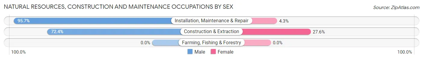 Natural Resources, Construction and Maintenance Occupations by Sex in Zip Code 18508