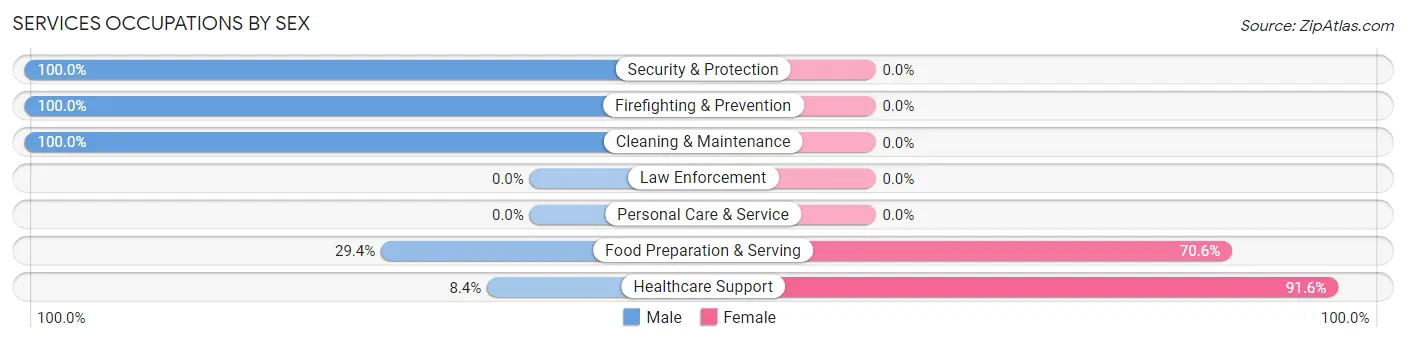 Services Occupations by Sex in Zip Code 18517