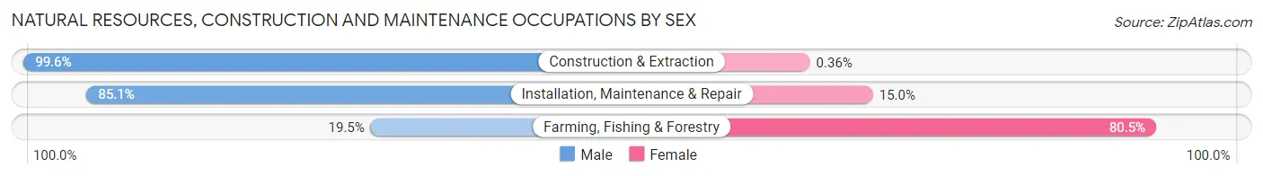 Natural Resources, Construction and Maintenance Occupations by Sex in Zip Code 18603